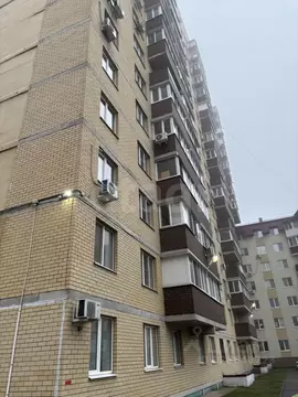 1-к кв. Воронежская область, Воронеж Загородная ул., 7а (33.4 м)