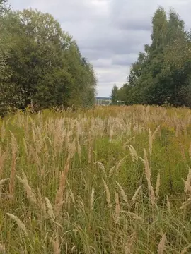 Участок в Тульская область, Тула городской округ, с. Частое  (21.89 ...