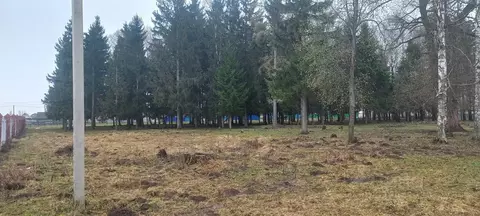 Участок в Башкортостан, Иглинский район, с. Турбаслы ул. Центральная ...