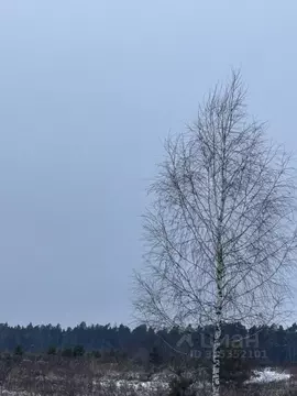 Участок в Московская область, Ступино городской округ, д. Прудно ул. ...