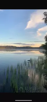 Коттедж в Ленинградская область, Приозерский район, Раздольевское ...