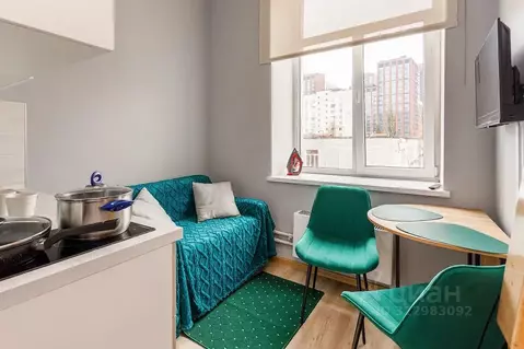 Студия Москва Клинская ул., 8С1 (15.0 м)