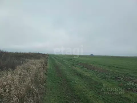 Участок в Крым, Ленинский район, Семисотское с/пос, с. Каменское ул. ...