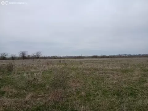 Участок в станица Фёдоровская, Южная улица (20 м)