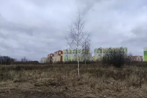 Участок в Курская область, Курск Красная Звезда СНТ, ул. 1-я Линия, ...