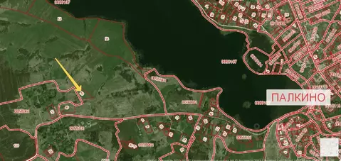 Участок в Псковская область, Палкинская волость, д. Карпино  (100.0 ...