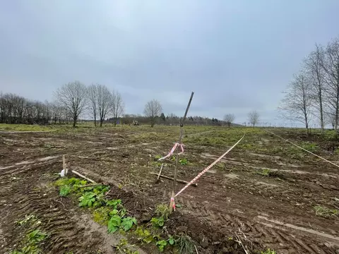 Участок в Ленинградская область, Гатчинский муниципальный округ, д. ...