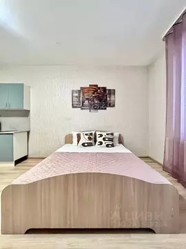 Студия Пермский край, Пермь ул. Революции, 48А (37.0 м)