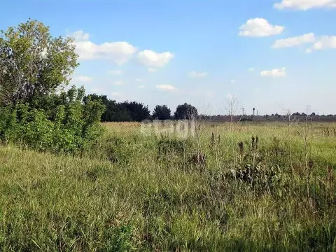 Участок в Калининградская область, Гурьевский муниципальный округ, ...