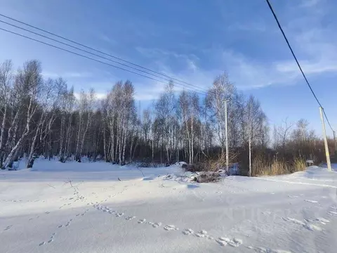 Участок в Тюменская область, Тюменский район, с. Борки ул. Отрадная ...