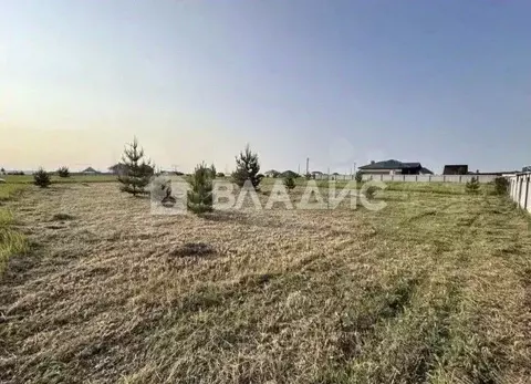 Участок в Татарстан, Нижнекамский район, Афанасовское с/пос, с. Нижнее ...