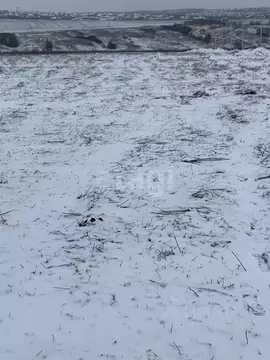 Участок в Белгородская область, Белгородский район, Головинское с/пос, ...