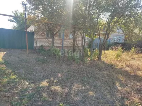 Дом в Белгородская область, Красногвардейский район, Ливенское с/пос, ...