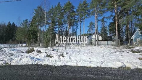 Участок в Ленинградская область, Всеволожск ул. Рубцова (6.0 сот.)