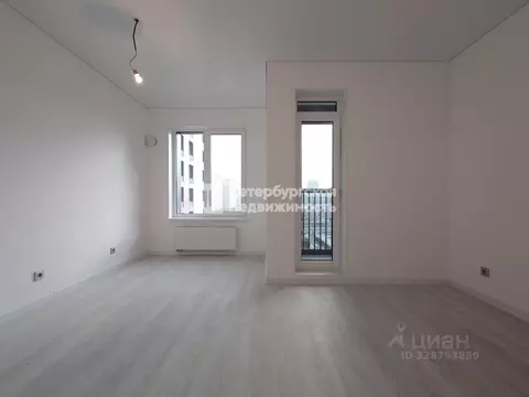 Студия Санкт-Петербург Парашютная ул., 71к2 (24.6 м)