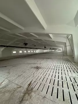 Производственное помещение в Владимирская область, Суздальский район, ...