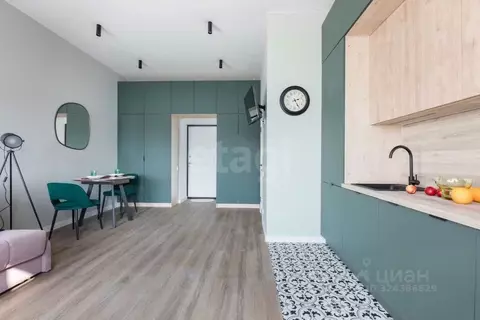 Студия Санкт-Петербург Октябрьская наб., 108к1БД (23.6 м)