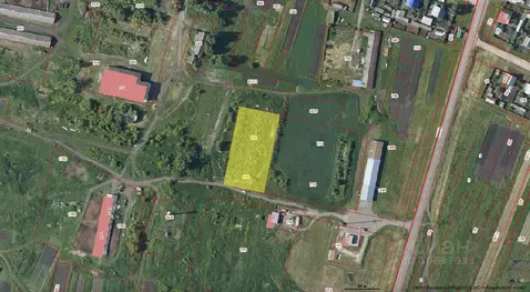 Участок в Пензенская область, Белинский район, с. Пушанино Зеленая ул. ...