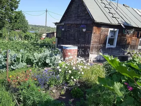 Участок в Кемеровская область, Кемерово Радуга садовое общество,  (6.0 ...