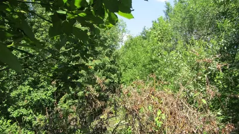 Участок в Московская область, Рузский муниципальный округ, д. ...