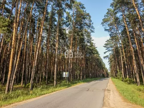 Участок в Калужская область, Дзержинский район, с. Дворцы  (13.0 сот.)