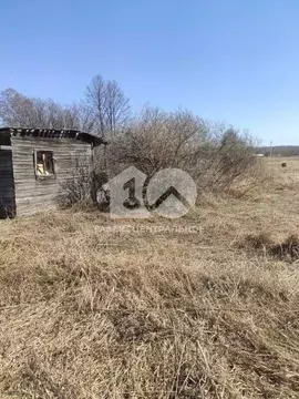 Участок в Новосибирская область, Новосибирский район, с. Ярково ул. ...