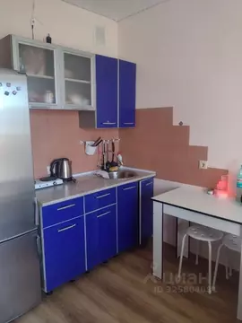 Студия Краснодарский край, Новороссийск Цемдолина тер., ул. Красина, ...