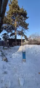 Участок в Амурская область, Благовещенск ул. Шимановского, 179/8 (6.76 ...