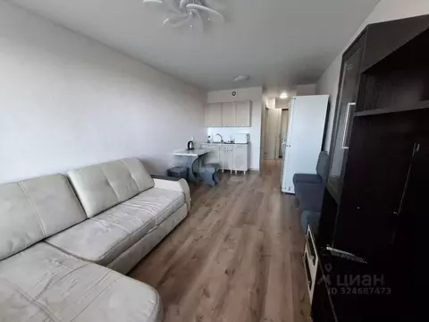 Студия Удмуртия, Ижевск ул. Васнецова, 24 (24.5 м)