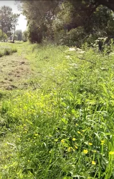 Участок в Тверская область, Рамешковский муниципальный округ, д. ...