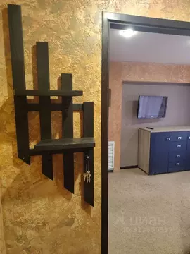 1-к кв. Пензенская область, Пенза просп. Строителей, 17А (20.0 м)