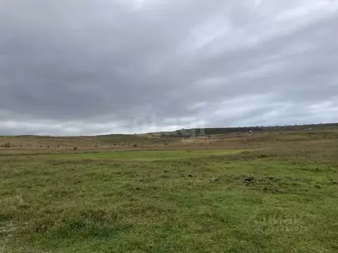 Участок в Крым, Симферопольский район, Чистенское с/пос, с. Камышинка  ...