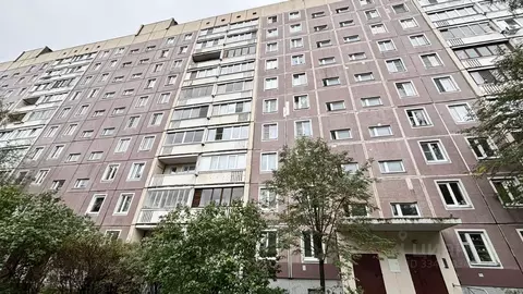 2-к кв. Санкт-Петербург Долгоозерная ул., 6К2 (46.0 м)
