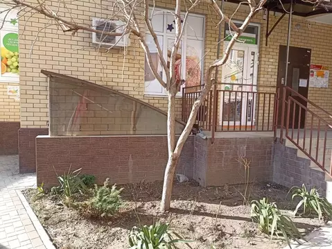 Помещение свободного назначения в Краснодарский край, Анапа Парковая ...