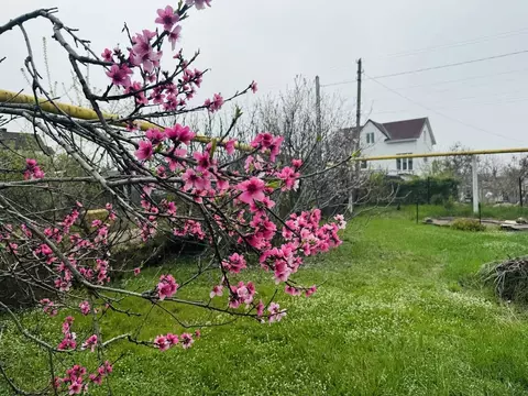 Дом в Севастополь СТ Садовод ТСН, 43 (21 м)