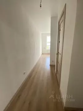 Студия Тверская область, Тверь ул. Медовая, 9к4 (17.0 м)