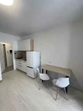 Студия Санкт-Петербург пос. Шушары, просп. Старорусский, 5к2 (20.3 м)