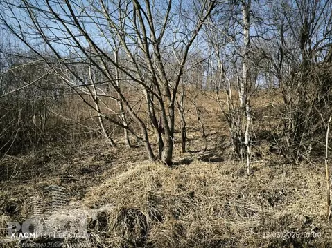 Участок в Приморский край, Артем Угольщик мкр, 357 (8.13 сот.)