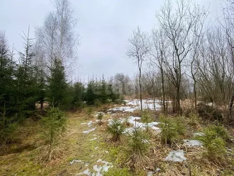 Участок в Вологодская область, д. Лучниково  (30.0 сот.)