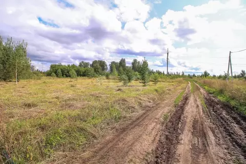 Участок в Алтайский край, Первомайский район, пос. Новый ул. ...