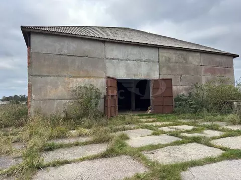 Помещение свободного назначения в Калининградская область, ...