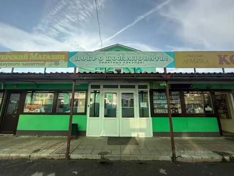 Торговая площадь в Московская область, Коломна ул. Малышева, 17к4 (19 ...