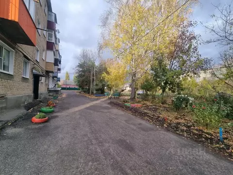 3-к кв. Тамбовская область, Никифоровский муниципальный округ, ...