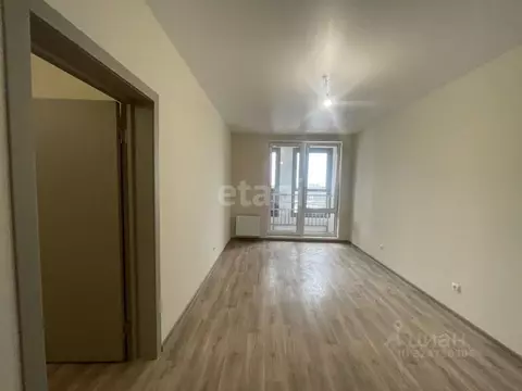 Студия Воронежская область, Воронеж ул. Ломоносова, 116 (30.07 м)