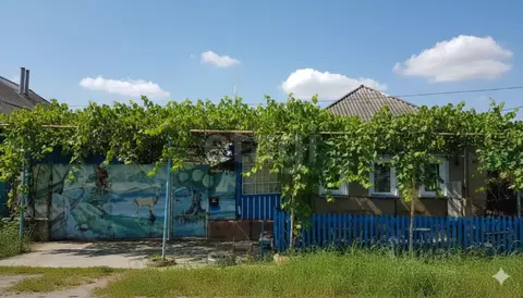 Дом в Белгородская область, Новооскольский муниципальный округ, с. ...