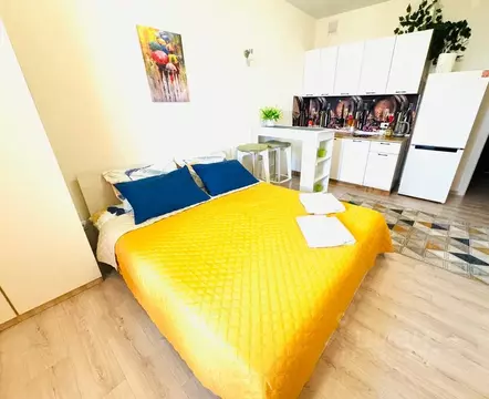 Студия Алтайский край, Барнаул Северный Власихинский проезд, 98 (30.0 ...