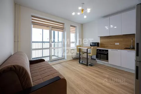 Студия Москва ул. Алхимовская, 1к4 (23.7 м)