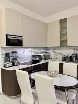 Студия Санкт-Петербург аллея Арцеуловская, 21 (24.5 м)