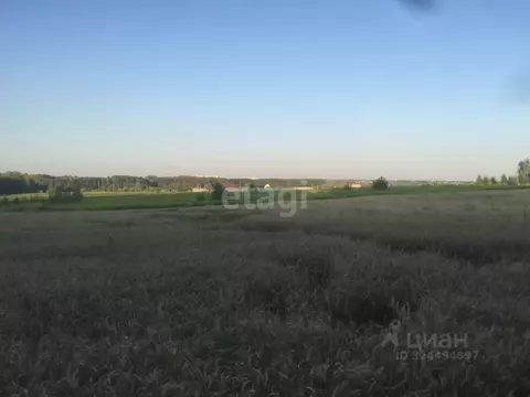 Участок в Брянская область, Брянский район, Супоневское с/пос, д. ...