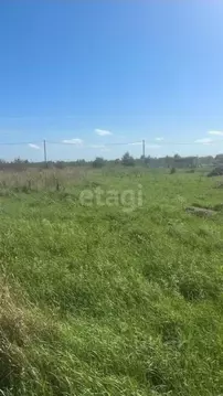 Участок в Калининградская область, Гурьевский муниципальный округ, ...